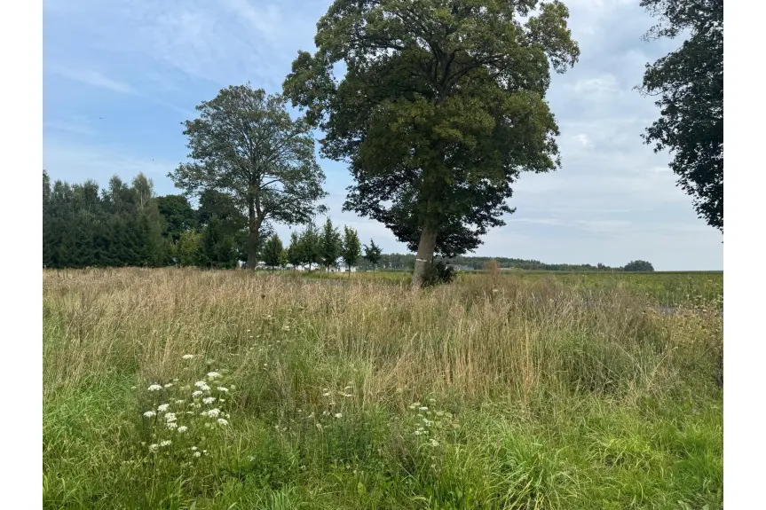 kołobrzeski, Siemyśl, Charzyno, Działka budowlana w Charzynie