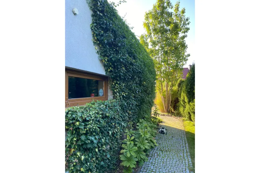 kołobrzeski, Kołobrzeg, LUKSUSOWA POSIADŁOŚĆ 5 km od Kołobrzegu